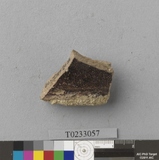 �򪫡G��V�w������