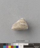 �򪫡G��������