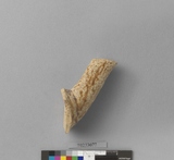 �򪫡G�ŹV�w�����L