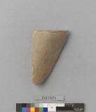 �򪫡G�w�����V�~����