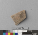 �򪫡G�X��L�����ⳳ����