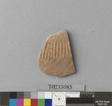 �򪫡G�����L�����ⳳ����