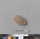 �򪫡G�ٮ�L�����ⳳ����