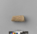 �򪫡G���ⳳ��