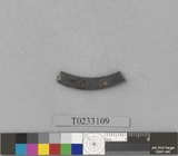 �򪫡G�i�s����