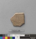 �򪫡G�X��L�����ⳳ����