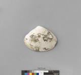 �򪫡G���ߺ�