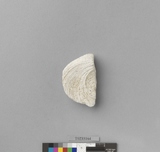 �򪫡G�]�������f�\