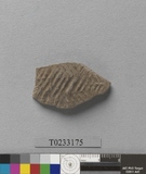 �򪫡G����L�����ⳳ����