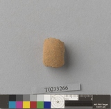 �򪫡G���ⳳ��