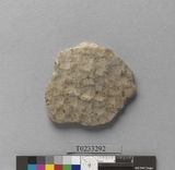 �򪫡G���L�����ⳳ����