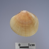 ����W:�����k��