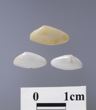 ����W:�����