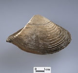 ����W:������