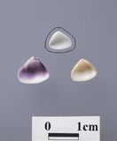 ����W:�T�����