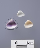 ����W:�T�����