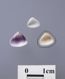 ����W:�T�����