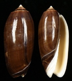 ����W:���f���I��