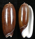 ����W:�m����I��