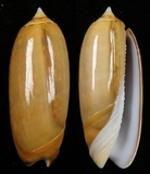 ����W:�m����I��