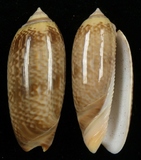 ����W:�m����I��