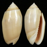 ����W:�H���I��