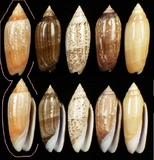 ����W:�h�m�����I��