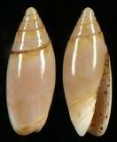 ����W:�H���I��