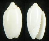 ����W:���I��