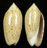 ����W:���I��