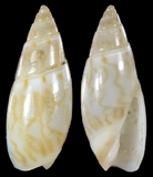 ����W:�y�Y�I��