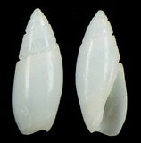 ����W:�y�Y�I��