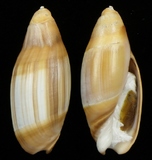 ����W:�F��u�Y��