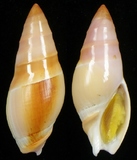 ����W:�����u�Y��