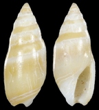 ����W:�u�Y����