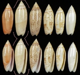 ����W:�h�m�I��