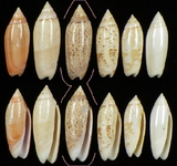 ����W:�h�m�I��