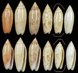 ����W:�h�m�����I��