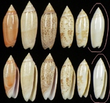 ����W:�h�m�I��