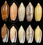 ����W:�h�m�I��