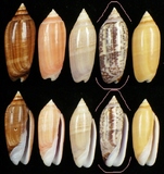 ����W:�h�m�I��