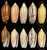 ����W:�h�m�I��