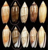 ����W:�h�m�I��