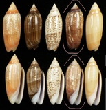 ����W:�h�m�I��