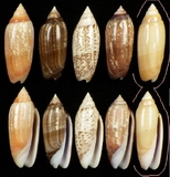 ����W:�h�m�I��