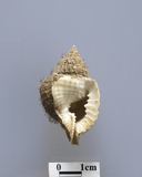 ����W:��k����