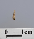 ����W:������