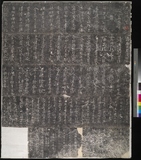 �D�n�D�W:���E���x�Z�˲`�֩P�ϧg�O�[