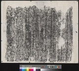 �D�n�D�W:���h��?