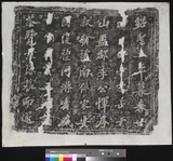 �D�n�D�W:���{���}�������D�W